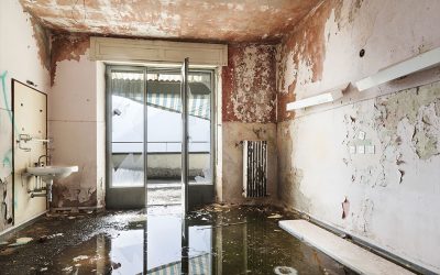 5 Tips for Identifying Water Damage in Your Home